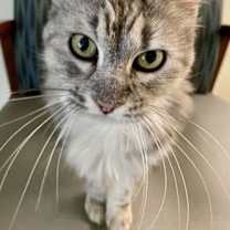 Thumbnail photo of Patsy #1