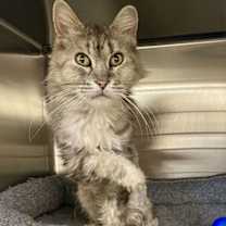 Thumbnail photo of Patsy #2