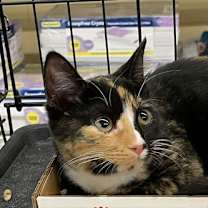 Thumbnail photo of Allyson #2