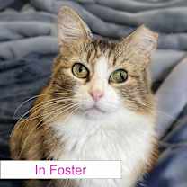 Thumbnail photo of Stella #1