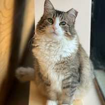 Thumbnail photo of Stella #3