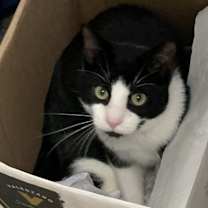 Thumbnail photo of Gunther #3