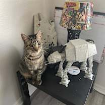 Thumbnail photo of Jack #1