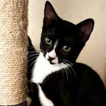 Thumbnail photo of Patsy #3