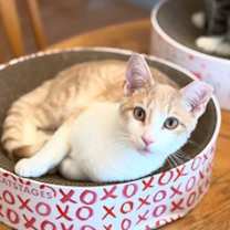 Thumbnail photo of JT #1