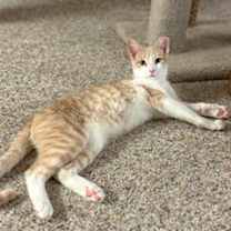 Thumbnail photo of JT #2