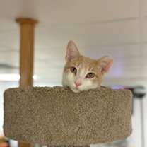 Thumbnail photo of JT #3