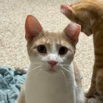 Thumbnail photo of JT #4