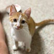 Thumbnail photo of Harry #1