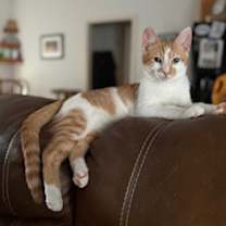 Thumbnail photo of Harry #2