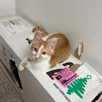 Thumbnail photo of Harry #4