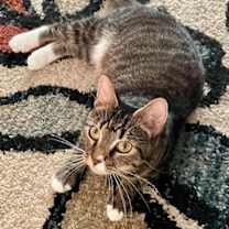 Thumbnail photo of Bahama Mama #1