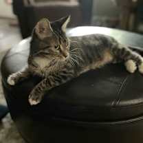 Thumbnail photo of Bahama Mama #2