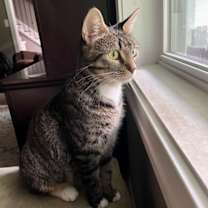 Thumbnail photo of Bahama Mama #3