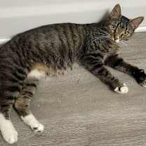 Thumbnail photo of Bahama Mama #4