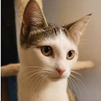 Thumbnail photo of Daisy #1