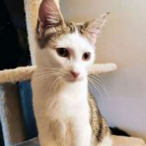 Thumbnail photo of Daisy #2