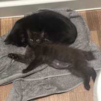 Thumbnail photo of Leslie #3