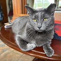 Thumbnail photo of Pat #1