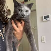 Thumbnail photo of Pat #4