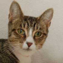 Thumbnail photo of Josie #1