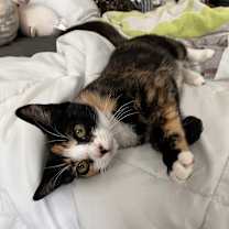 Thumbnail photo of Deb #1