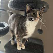 Thumbnail photo of Gucci #1