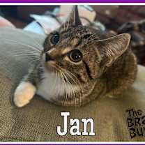 Thumbnail photo of Jan #4