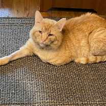 Thumbnail photo of Maurice #2