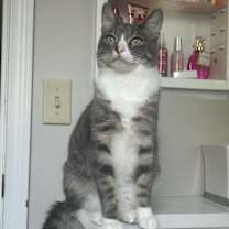 Thumbnail photo of Clint Eastwood #1