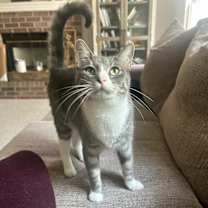 Thumbnail photo of Clint Eastwood #2