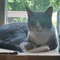 Thumbnail photo of Clint Eastwood #3