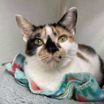 Thumbnail photo of Quinn #1