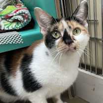 Thumbnail photo of Quinn #2