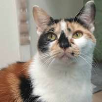 Thumbnail photo of Quinn #3