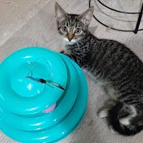 Thumbnail photo of Kevin #4