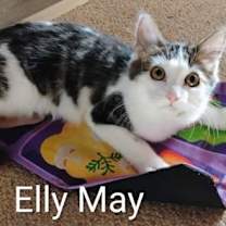 Thumbnail photo of Elly May #4