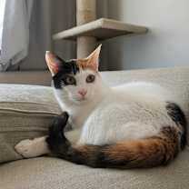 Thumbnail photo of Maggie - Dubai #1