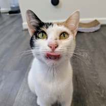 Thumbnail photo of Maggie - Dubai #4