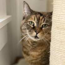 Thumbnail photo of Mischa #1