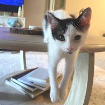 Thumbnail photo of Angie #2