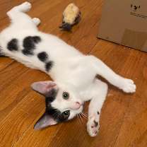 Thumbnail photo of Angie #3