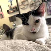 Thumbnail photo of Angie #4