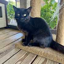 Thumbnail photo of Titan  #2