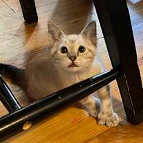 Thumbnail photo of Christina #2