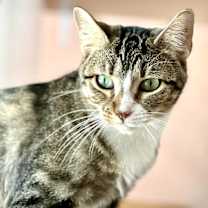 Thumbnail photo of Jaylissa #3