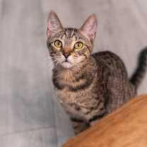 Thumbnail photo of Moira #3