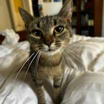 Thumbnail photo of Ximena #3