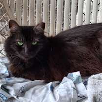 Thumbnail photo of Jewel #1