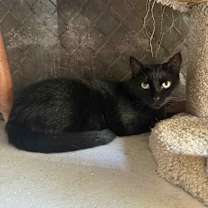 Thumbnail photo of Tippy #3